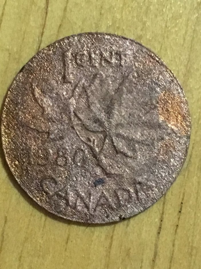 Some-Interesting-Finds-From-Five-Bags-Of-Pennies.