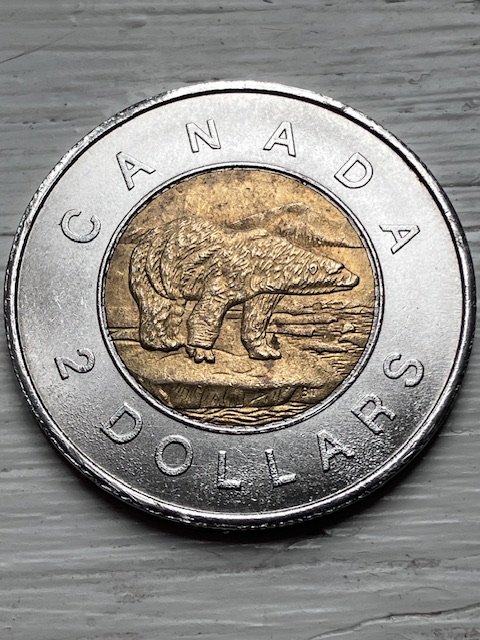 Counterfeit-Toonies-Are-Going-To-Be-A-Significant-Problem