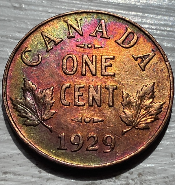 Post-Your-Most-Recent-Canadian-Coin-Purchases!