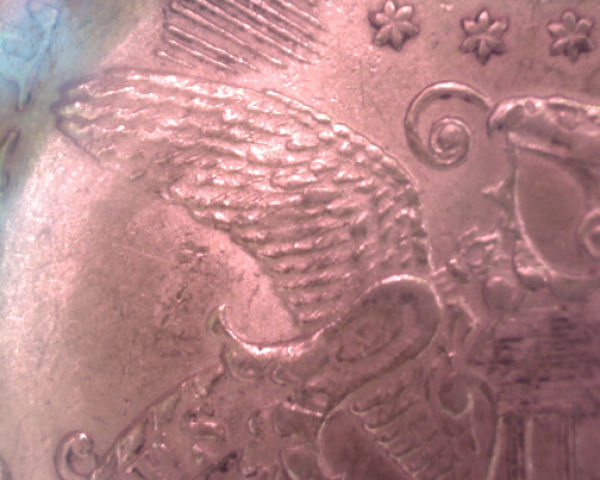 1897-Liberty-Head-$20-Grading-Help