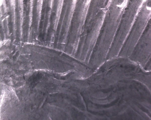 Top-50-VAM-1A-1922-P-Peace-Dollar-Inquiry