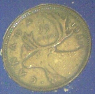 Photos