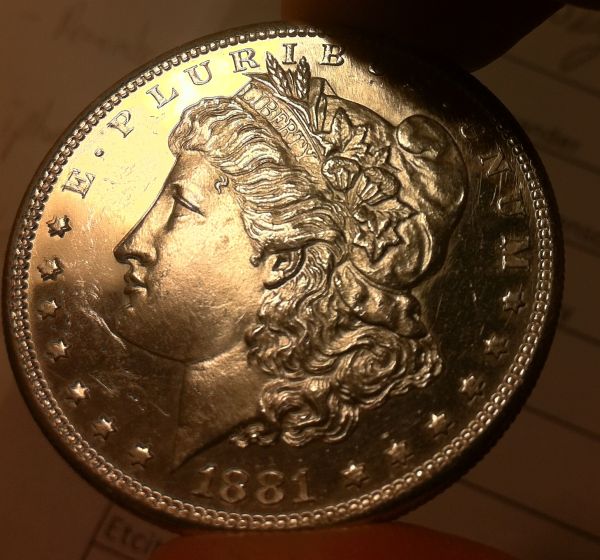 Cleaned-Morgans?