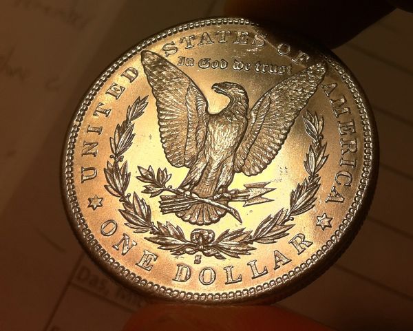Cleaned-Morgans?