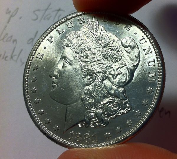 Cleaned-Morgans?