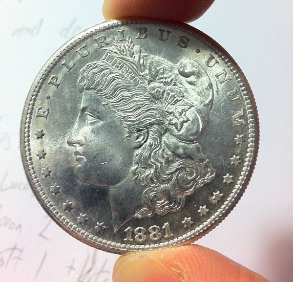 Cleaned-Morgans?