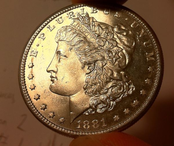 Cleaned-Morgans?