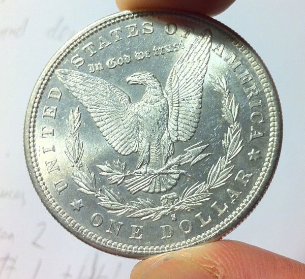 Cleaned-Morgans?