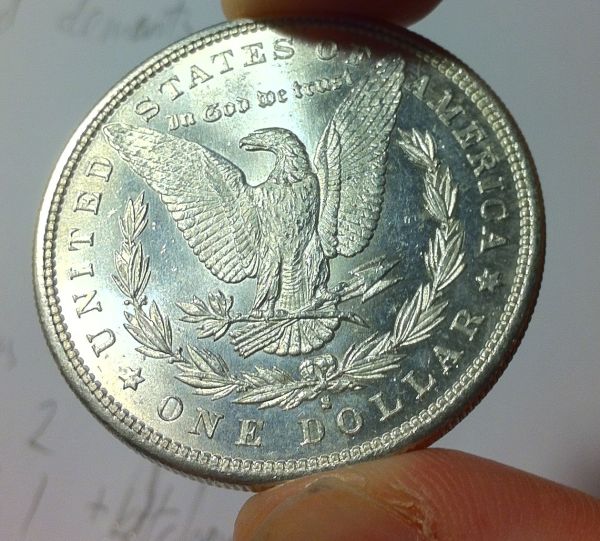 Cleaned-Morgans?