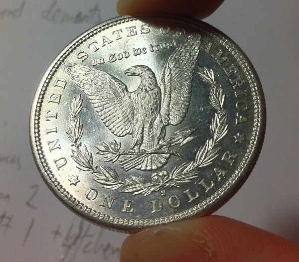 Cleaned-Morgans?