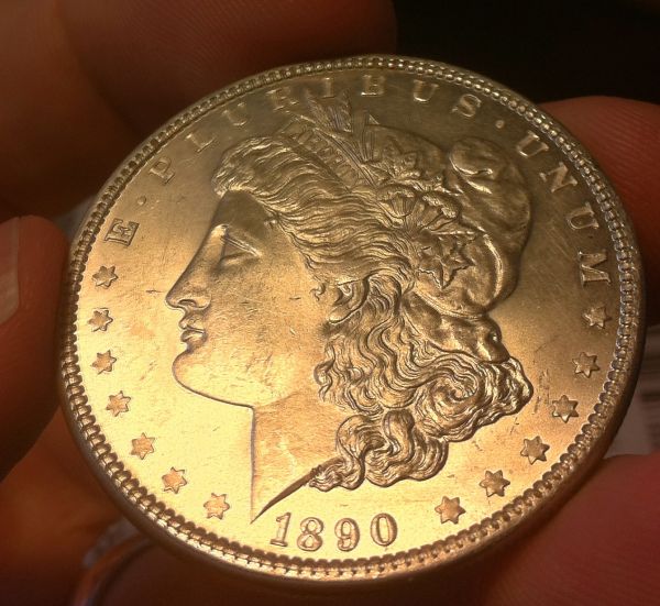 Grade-The-Morgan