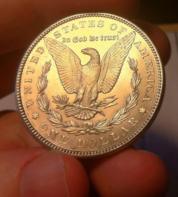 Grade-The-Morgan