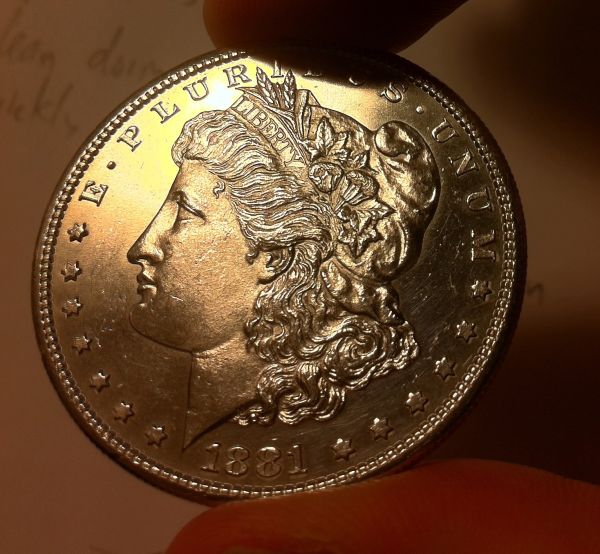 Grade-The-Morgan-1881-S