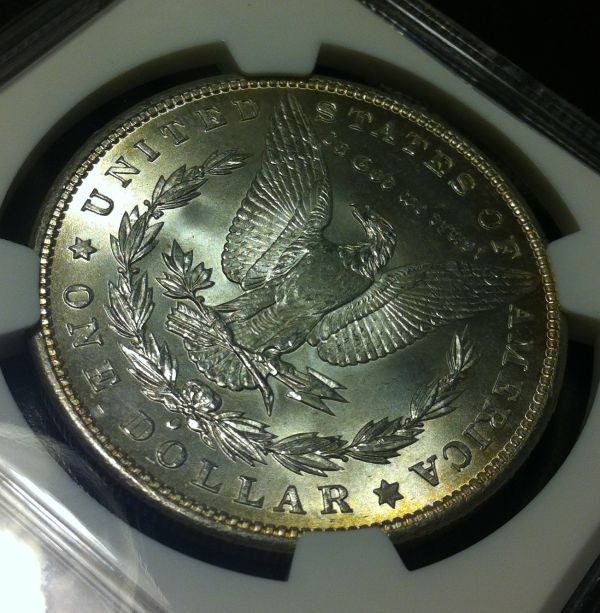 You-Vs.-NGC-On-Two-Morgans