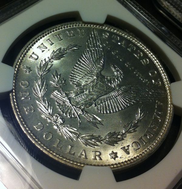 You-Vs.-NGC-On-Two-Morgans