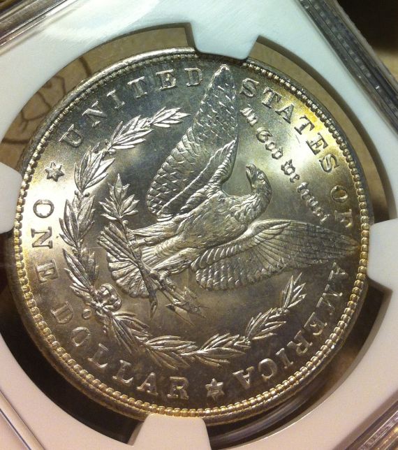 You-Vs.-NGC-On-Two-Morgans