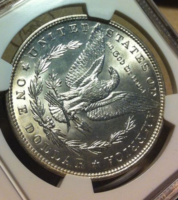 You-Vs.-NGC-On-Two-Morgans