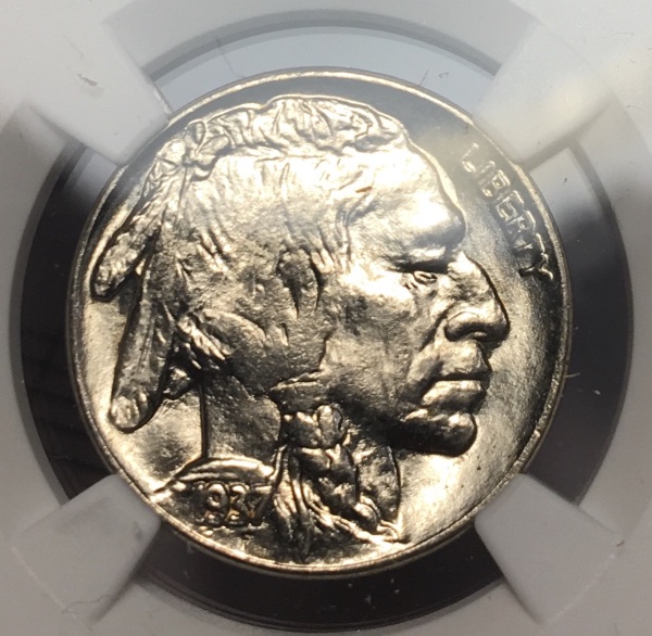 1937-Buffalo-#2---You-Vs-NGC