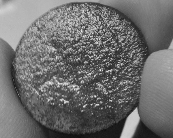 Unknown-Elephant-Token?