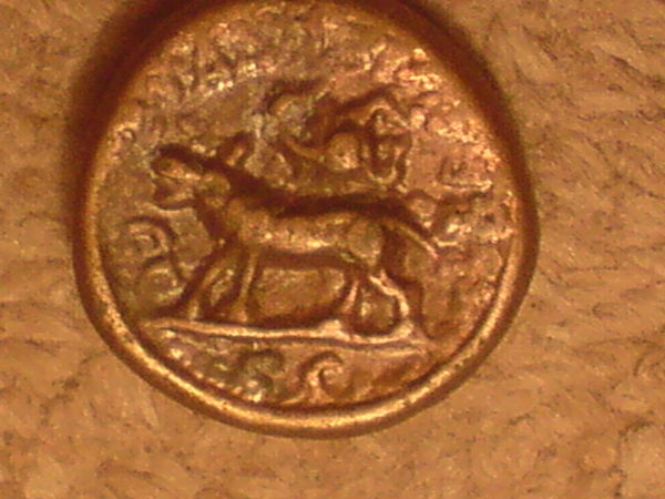 Does-Anyone-Recognize-This-Coin