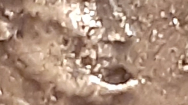 1975-Penny--Penny-Face-Error.