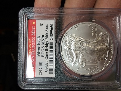 Need-Help-I-Have-Possible-Miss-Slabbed-Silver-Eagle-PCGS