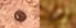 1936-Dot-Penny-Found!-