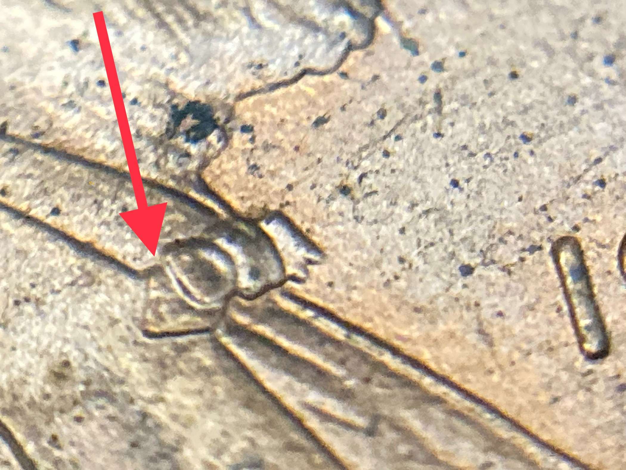 1991-Lincoln-Penny,-Is-This-An-Error-On-The-Bowtie?