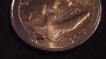 2017-Effigy-Mounds-Quarter-Error?