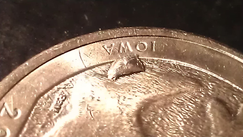 2017-Effigy-Mounds-Quarter-Error?