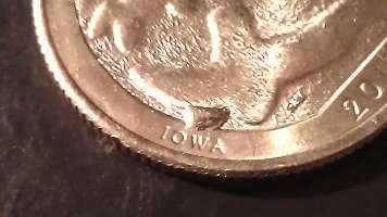 2017-Effigy-Mounds-Quarter-Error?