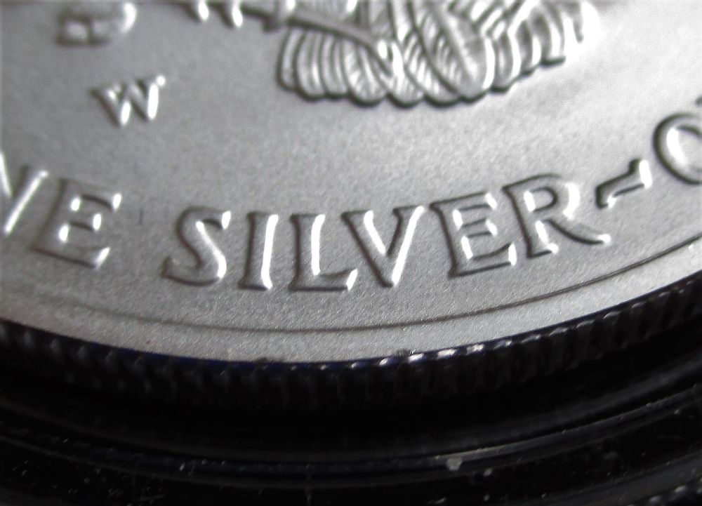 MS-Grade-Request-2006-Burnished-Silver-Eagle---Rim-Nicks,-Luster-Blemishes