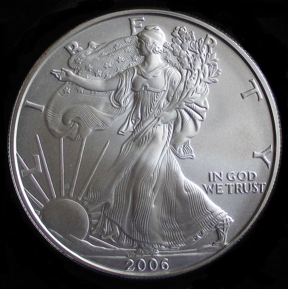 MS-Grade-Request-2006-Burnished-Silver-Eagle---Rim-Nicks,-Luster-Blemishes