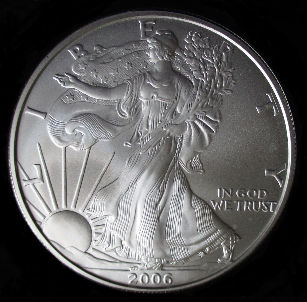 MS-Grade-Request-2006-Burnished-Silver-Eagle---Rim-Nicks,-Luster-Blemishes