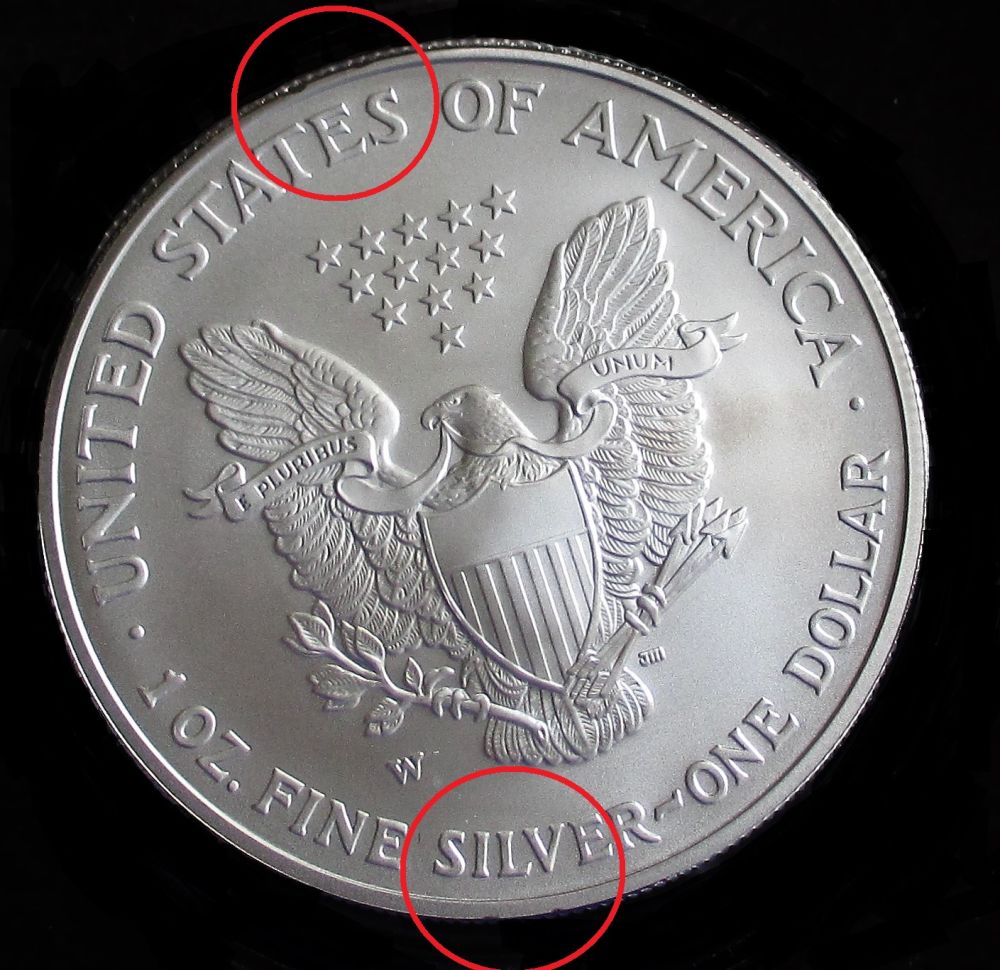 MS-Grade-Request-2006-Burnished-Silver-Eagle---Rim-Nicks,-Luster-Blemishes