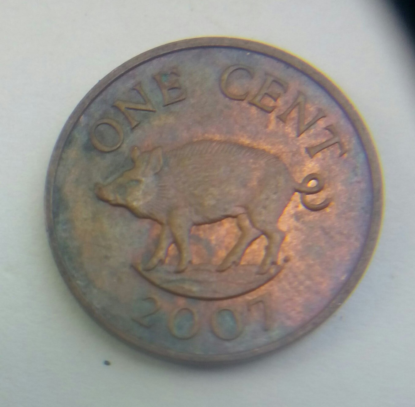 2007-1-Cent-Bermuda-Magnetic