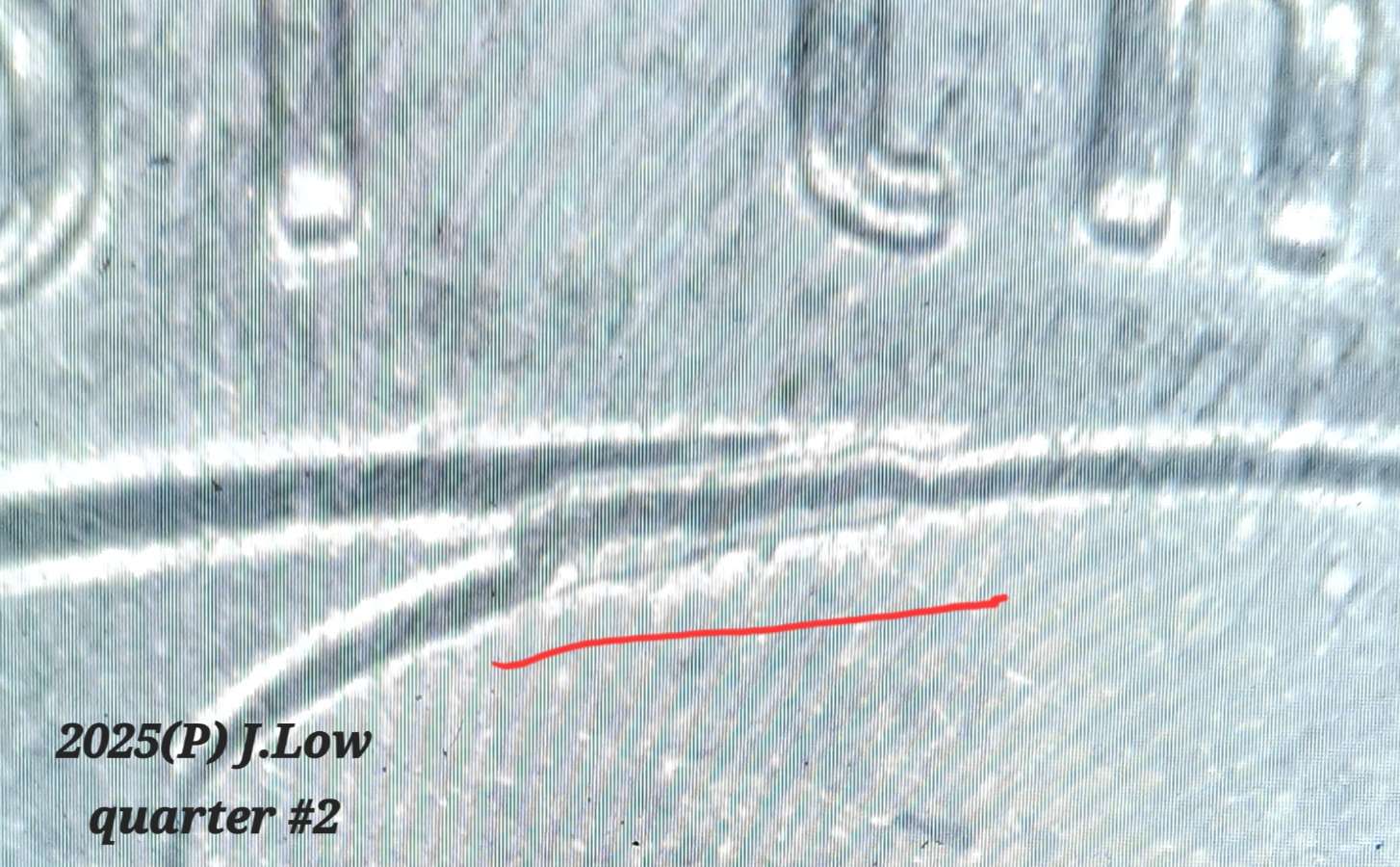 2025-P-J-Low-Quarter-Again.-PMD-Or?