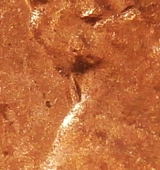2011-LSC-DDR