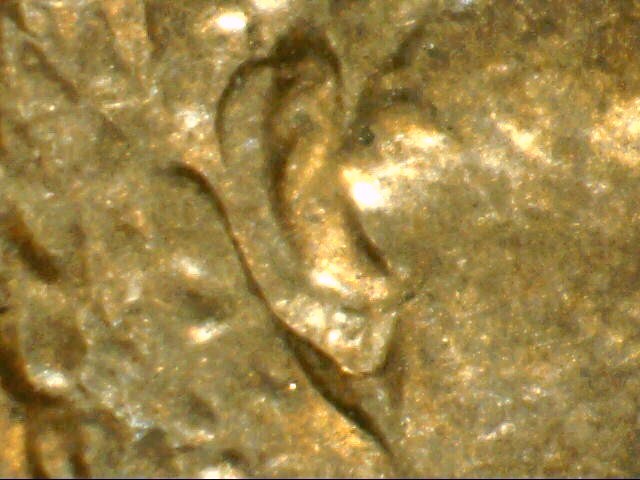 A-Few-Recent-Finds