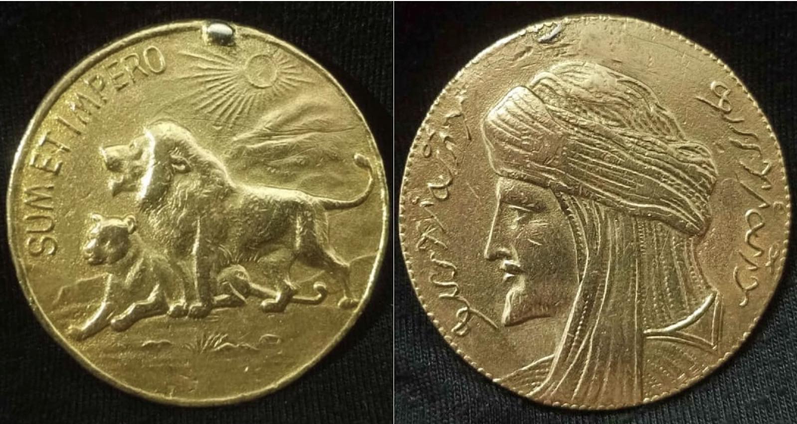 What-Is-This-Image--?-Id:-Likely-Algeria-Shareholders-Meeting-Commemorative-Medal