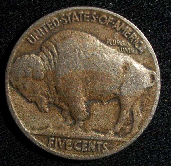 1913-Variety-2-Buffalo-For-Grading
