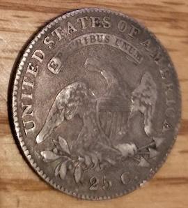 New-Pursuit,-Bust-Quarters