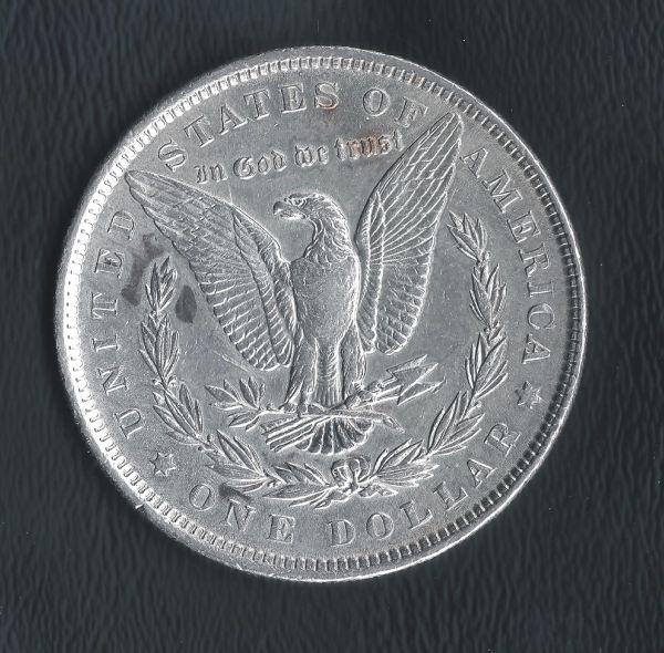 I-Have-Some-Marks-On-My-Morgan.