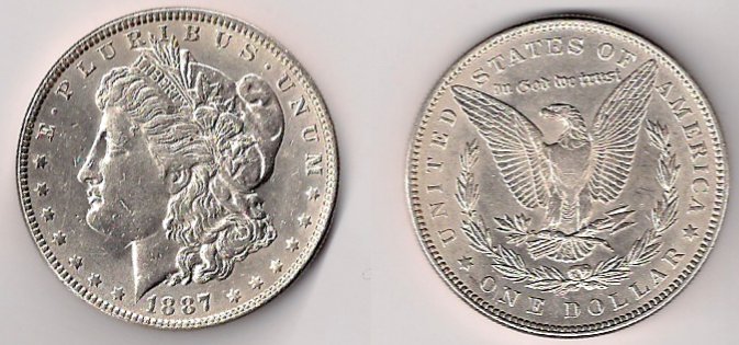 Opinion-On-Grade-For-1887-Morgan