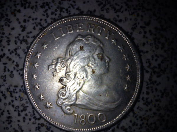 1800-Draped-Dollar-----Fake-Or-Not?