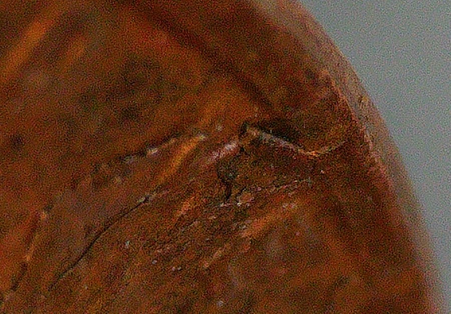 1973-D-LMC---PMD-Crack-Lamination-Or?
