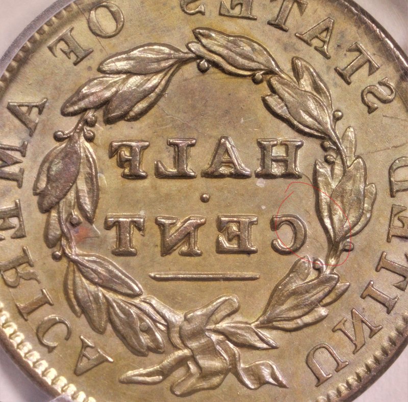1835-Classic-Half-Cent-C2