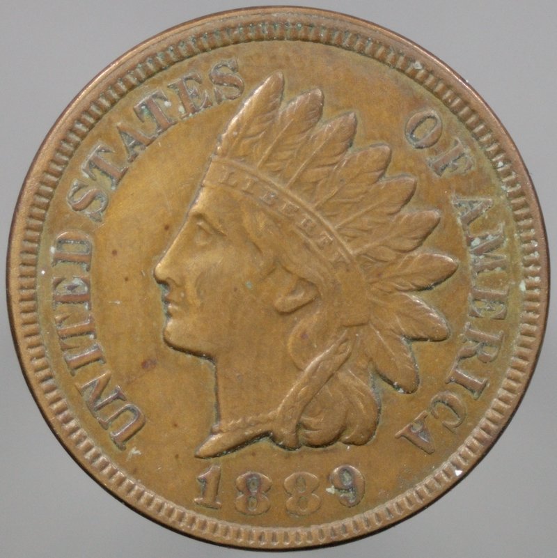 1889-Indian-For-Grading-Please