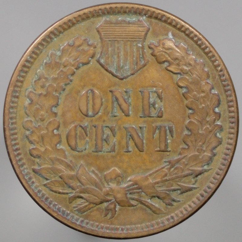 1889-Indian-For-Grading-Please
