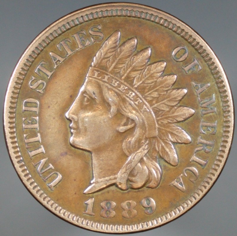 1889-Indian-For-Grading-Please